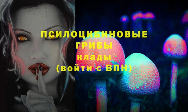 ECSTASY Алексеевка