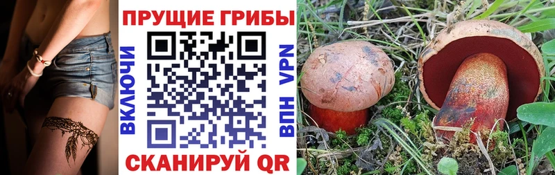 Галлюциногенные грибы мухоморы  Данков 