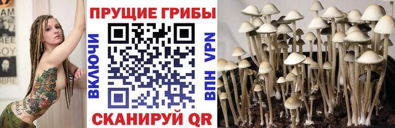 Галлюциногенные грибы MAGIC MUSHROOMS Данков